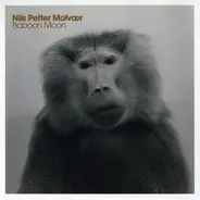 Nils Petter Molvær - Baboon Moon