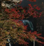 Nippon No Kyoshu Miryoku No Subete