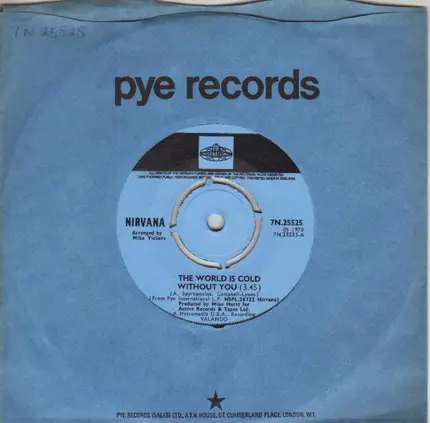 Nirvana - The World Is Cold Without You