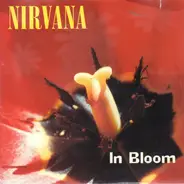 Nirvana - In Bloom