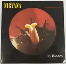 12inch Vinyl Single - Nirvana - In Bloom - Picture Disc