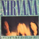 7inch Vinyl Single - Nirvana - Smells Like Teen Spirit