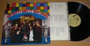 LP - Nitty Gritty Dirt Band - Rare Junk