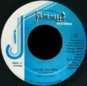 Nitty Gritty - False Alarm