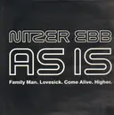 12inch Vinyl Single - Nitzer Ebb - As Is