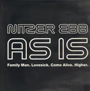 12inch Vinyl Single - Nitzer Ebb - As Is