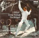 7inch Vinyl Single - Nona Hendryx - I Sweat (Going Through The Motions) / Living On The Border