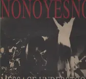 Nonoyesno - Message Understood