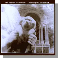 Nocturnal Emissions - Drowning in a Sea of Bliss