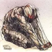 nodes of ranvier - Nodes of Ranvier