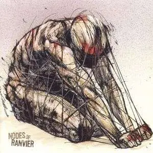 NODES OF RANVIER - Nodes of Ranvier