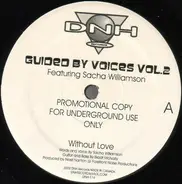 Noel Nanton Featuring Sacha Williamson - Guided By Voices Vol.2