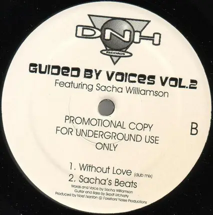 Noel Nanton Featuring Sacha Williamson - Guided By Voices Vol.2