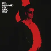 10'' - Noel Gallagher's High Flying Birds - The Dying Of The Light (Demo)