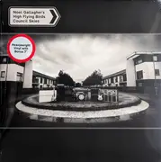 Double LP - Noel Gallagher's High Flying Birds - Council Skies
