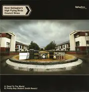 Noel Gallagher's High Flying Birds - Dead To The World