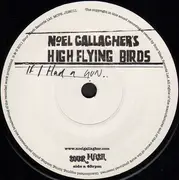 7inch Vinyl Single - Noel Gallagher's High Flying Birds - If I Had A Gun...