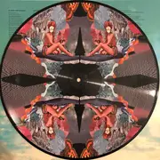 Picture LP - Noel Gallagher's High Flying Birds - Who Built The Moon?