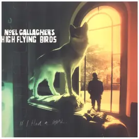 NOEL'S GALLAGHER HIGH FLYING BIRDS - If I Had A Gun