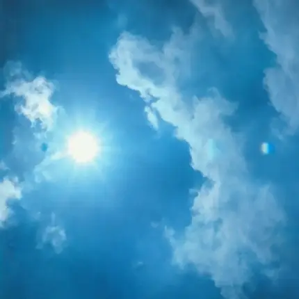 Noir Désir - 666.667 Club