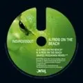 Noirdegout - A Frog On The Beach (M.Passarani RMX)