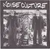 7inch Vinyl Single - Noise Culture - Face The Future