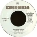 7inch Vinyl Single - Noiseworks - Take Me Back