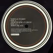Noisia - Shower For An Hour / Moon Palace