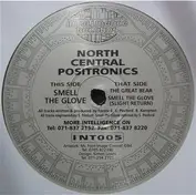 North Central Positronics