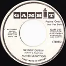 7inch Vinyl Single - North Junction - Skinny Dippin'