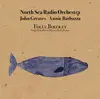 LP & CD - North Sea Radio Orchestra , John Greaves , Annie Barbazza - Folly Bololey (Songs From Robert Wyatt's Rock Bottom) - +insert, CD, numbered, Ltd Ed