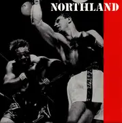 7inch Vinyl Single - Northland - The Survival