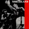 7inch Vinyl Single - Northland - The Survival