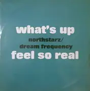 12inch Vinyl Single - Northstarz / Dream Frequency - What's Up / Feel So Real