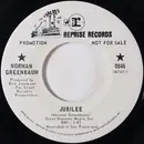 7inch Vinyl Single - Norman Greenbaum - Jubilee