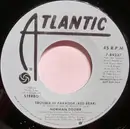 7inch Vinyl Single - Norman Dozier - Trouble In Paradise (Red Bear)