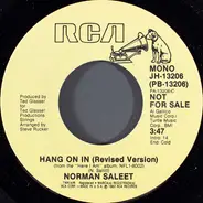 Norman Saleet - Hang On In (Revised Version)