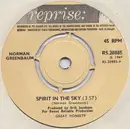 7'' - Norman Greenbaum - Spirit In The Sky