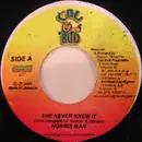 7inch Vinyl Single - Norrisman - She Never Knew It