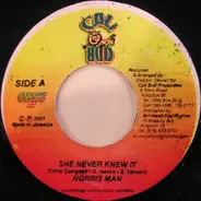 Norrisman - She Never Knew It