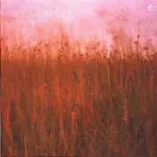 Nostalgia 77 - Everything Under the Sun