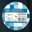 12inch Vinyl Single - Nostrum - The End