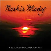 Noshir Mody - A Burgeoning Consciousness
