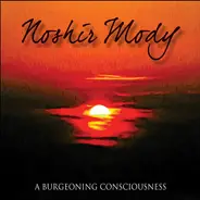 Noshir Mody - A Burgeoning Consciousness