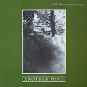 Not Drowning, Waving - Another Pond