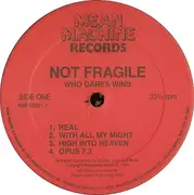 LP - Not Fragile - Who Dares Wins