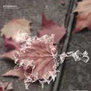 12inch Vinyl Single - Not From Earth - The First Contact