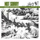 7inch Vinyl Single - Not Sorry - Our Choices - yellow pressing + download code