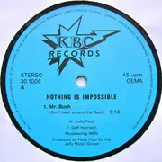 12inch Vinyl Single - Nothing Is Impossible - Mr. Bush