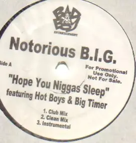 The Notorious B.I.G. - Hope You Niggas Sleep / Big Booty Hoes
